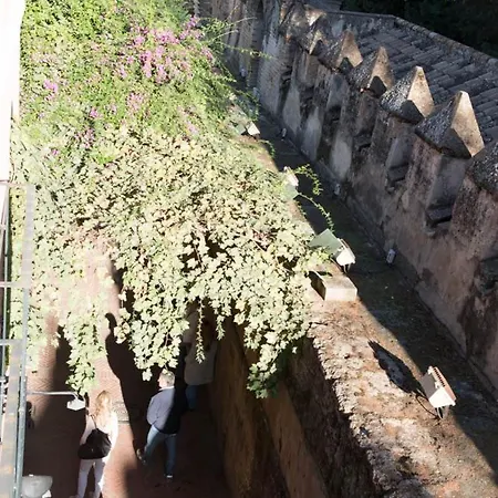 Casa Callejon Del Agua セビリア